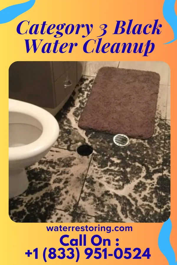 Category 3 Black Water Cleanup in Hosmer, SD
