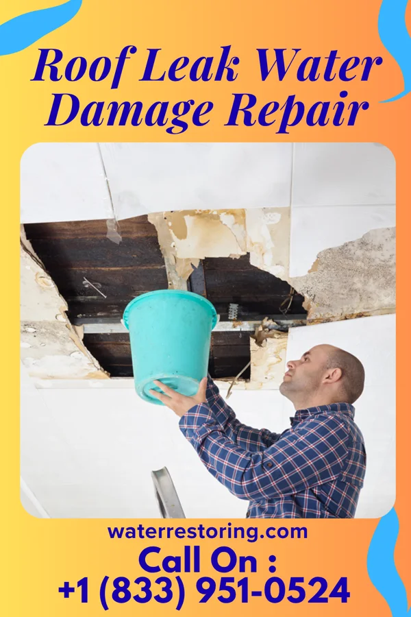 Roof Leak Water Damage Repair in Hosmer, SD