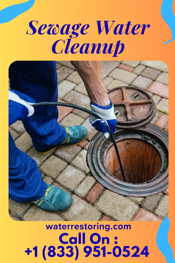 Sewage Water Cleanup in Hosmer, SD
